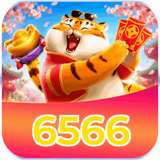 6566
